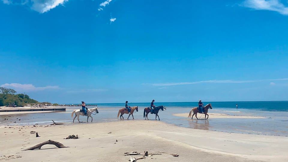 Book your Miami: Beach Horse Ride & Nature Trail experience today. Discover upcoming events, exciting activities, tours, places to eat, places to stay, and fun things to do in Miami, Florida with PartyFixx.co.