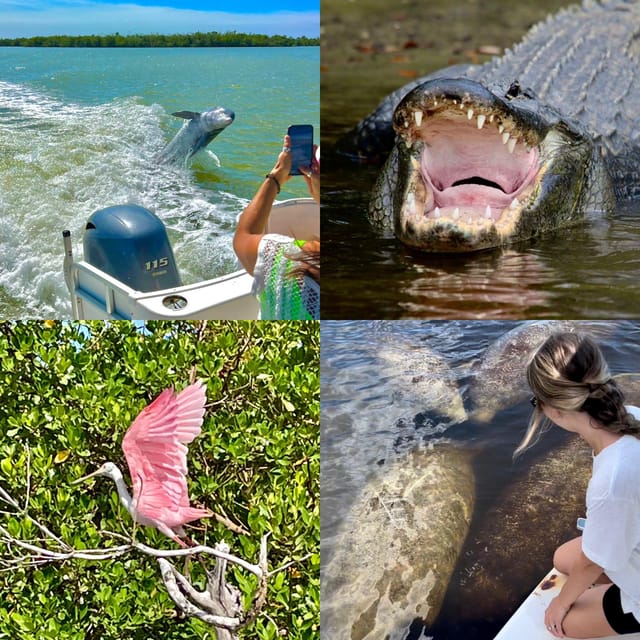 Book your Naples, FL: Manatee, Dolphin, 10,000 Islands Beach Eco Tour experience today. Discover upcoming events, exciting activities, tours, places to eat, places to stay, and fun things to do in Naples, Florida, Florida with PartyFixx.co.