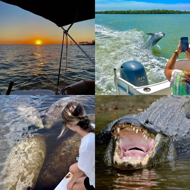 Book your Naples, FL: Manatee, Dolphin, 10,000 Islands Sunset Cruise experience today. Discover upcoming events, exciting activities, tours, places to eat, places to stay, and fun things to do in Naples, Florida, Florida with PartyFixx.co.