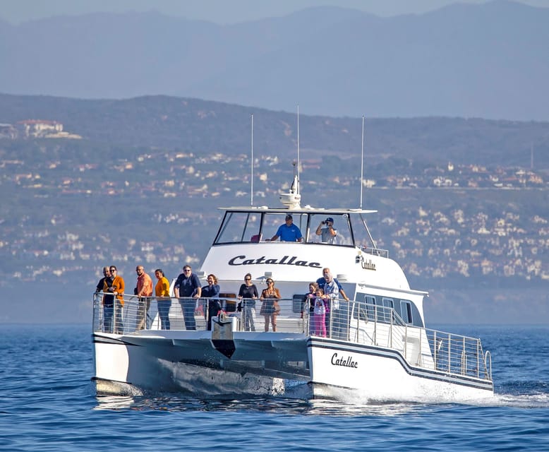 Book your Newport Beach: Luxury Whale Watching Catamaran Cruise experience today. Discover upcoming events, exciting activities, tours, places to eat, places to stay, and fun things to do in Newport Beach, California with PartyFixx.co.