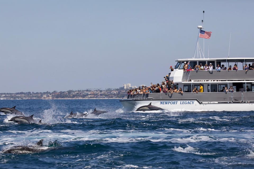 Book your Newport Beach: Whale and Dolphin-Watching Cruise experience today. Discover upcoming events, exciting activities, tours, places to eat, places to stay, and fun things to do in Newport Beach, California with PartyFixx.co.