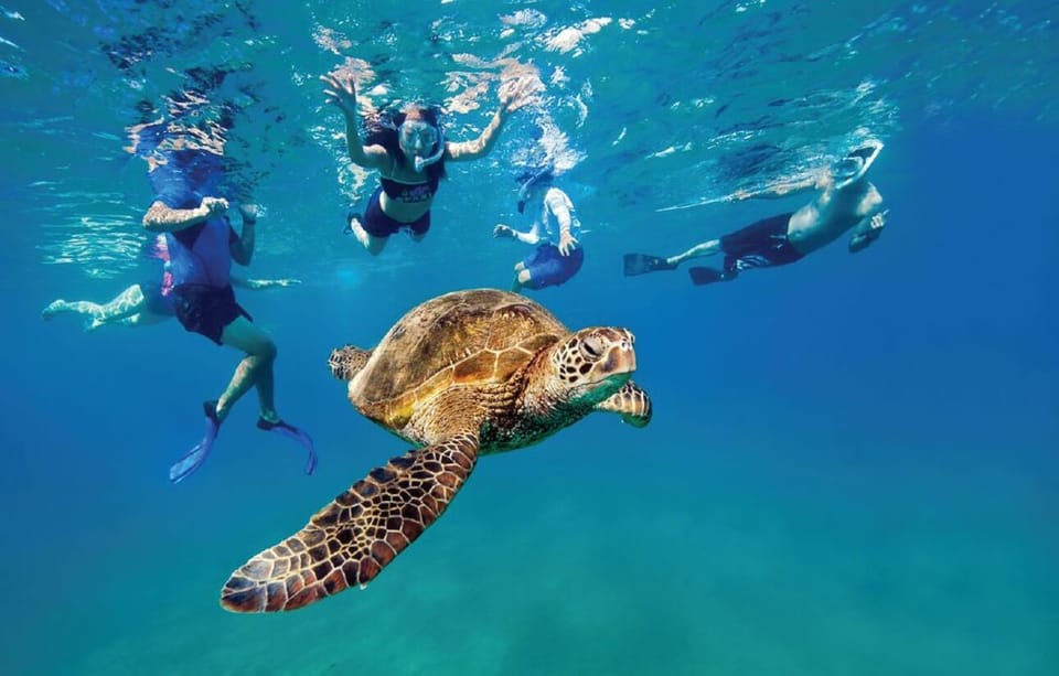 Book your Ocean Reef Snorkeling and Paddleboarding experience today. Discover upcoming events, exciting activities, tours, places to eat, places to stay, and fun things to do in Dania Beach, Florida with PartyFixx.co.