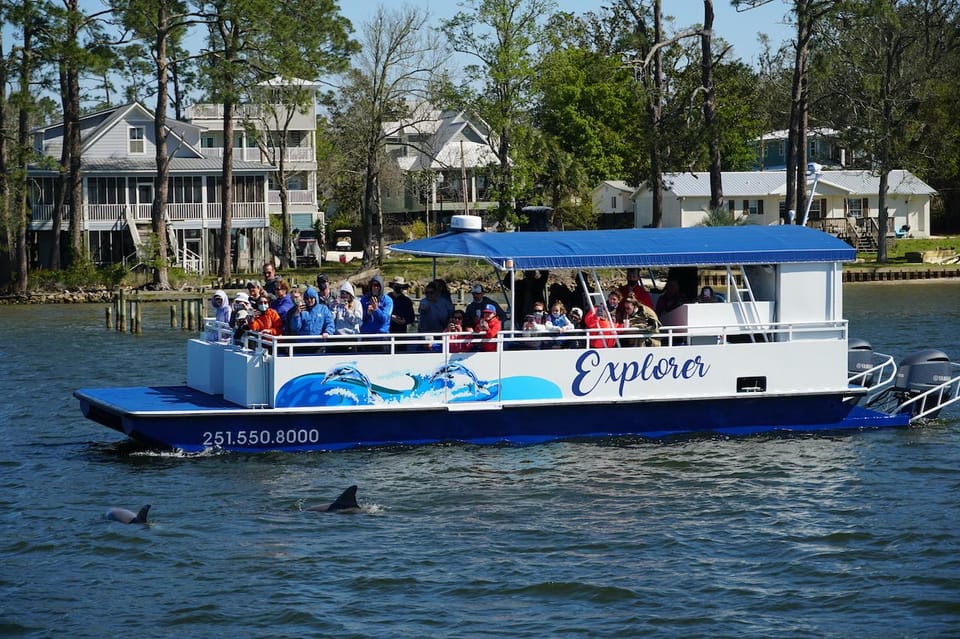 Book your Orange Beach: Dolphin-Watching Eco-Boat Tour experience today. Discover upcoming events, exciting activities, tours, places to eat, places to stay, and fun things to do in Orange Beach, Alabama with PartyFixx.co.