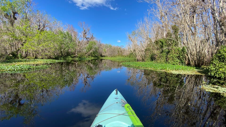 Book your Orange City: Blue Spring State Park Guided Kayak Tour experience today. Discover upcoming events, exciting activities, tours, places to eat, places to stay, and fun things to do in Blue Spring State Park, Florida with PartyFixx.co.