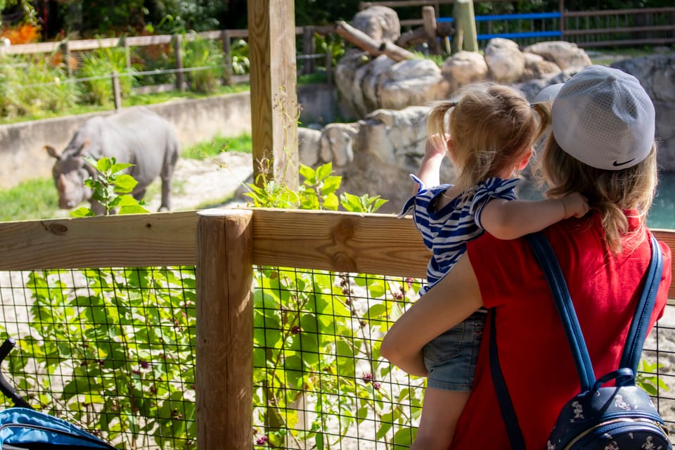 Book your Orlando: Central Florida Zoo Skip-the-Line Ticket experience today. Discover upcoming events, exciting activities, tours, places to eat, places to stay, and fun things to do in Sanford, Florida with PartyFixx.co.