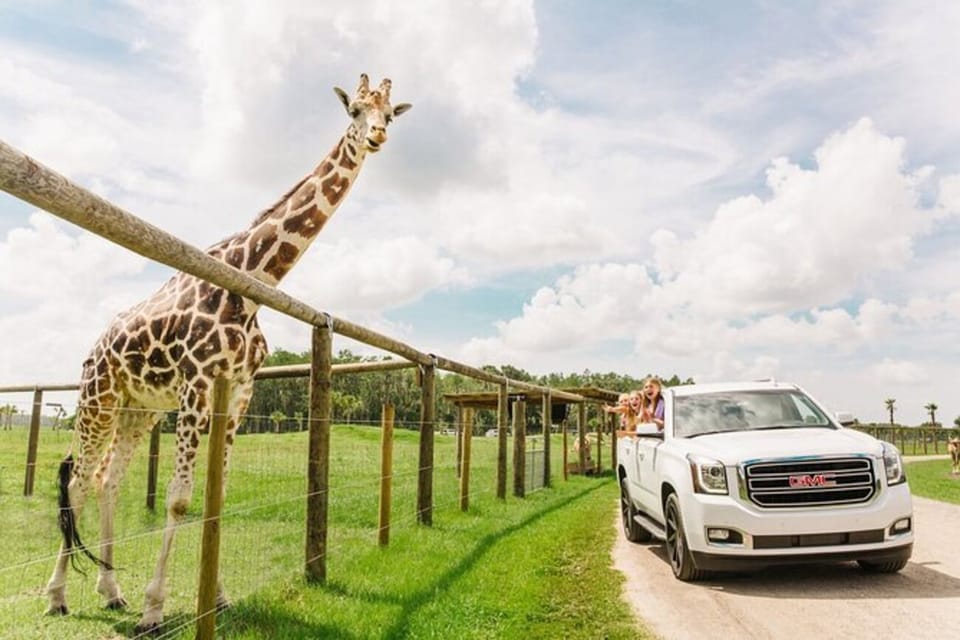 Book your Orlando: Drive-Thru Safari Park at Wild Florida experience today. Discover upcoming events, exciting activities, tours, places to eat, places to stay, and fun things to do in Wild Florida Airboats & Gator Park, Florida with PartyFixx.co.