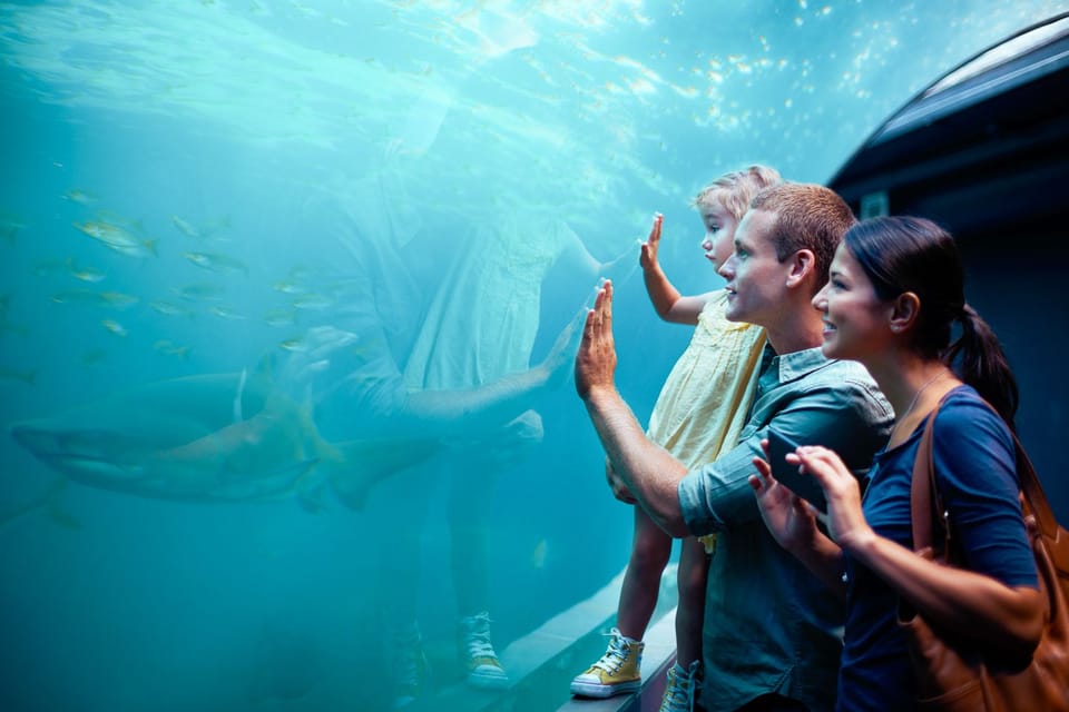 Book your Orlando: SEA LIFE Orlando Aquarium experience today. Discover upcoming events, exciting activities, tours, places to eat, places to stay, and fun things to do in Orlando, Florida with PartyFixx.co.