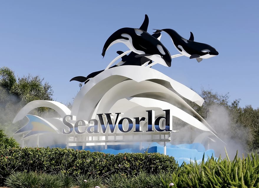 Book your Orlando: SeaWorld Shuttle Service experience today. Discover upcoming events, exciting activities, tours, places to eat, places to stay, and fun things to do in Orlando, Florida with PartyFixx.co.