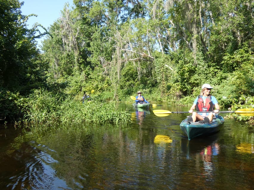 Book your Orlando: Small Group Scenic Wekiva River Kayak Tour experience today. Discover upcoming events, exciting activities, tours, places to eat, places to stay, and fun things to do in Wekiwa Springs State Park, Florida with PartyFixx.co.