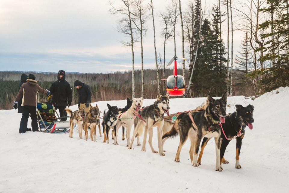 Book your Palmer: "Dogs and Glaciers" Sledding and Helicopter Tour experience today. Discover upcoming events, exciting activities, tours, places to eat, places to stay, and fun things to do in Knik Glacier, Alaska with PartyFixx.co.