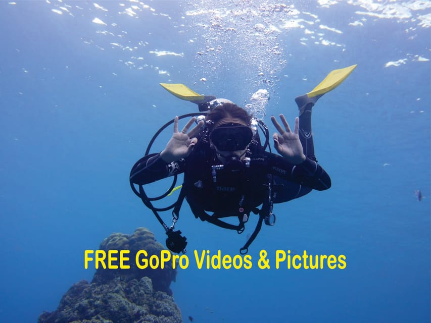 Book your Panama City Beach: Beginners Scuba Diving Tour experience today. Discover upcoming events, exciting activities, tours, places to eat, places to stay, and fun things to do in St. Andrews State Park, Florida with PartyFixx.co.