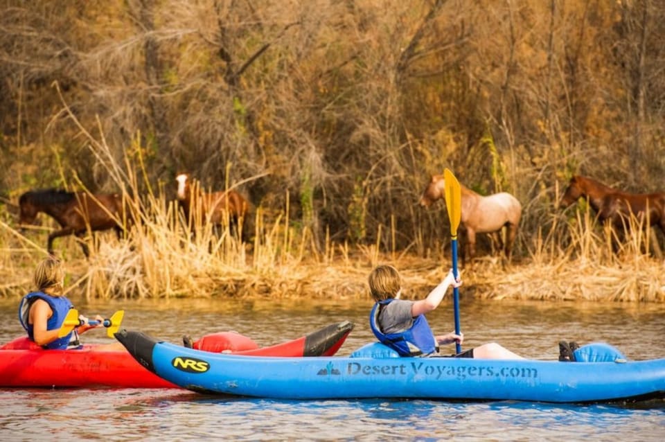 Book your Phoenix & Scottsdale: Lower Salt River Kayaking Tour experience today. Discover upcoming events, exciting activities, tours, places to eat, places to stay, and fun things to do in Phoenix, Arizona with PartyFixx.co.