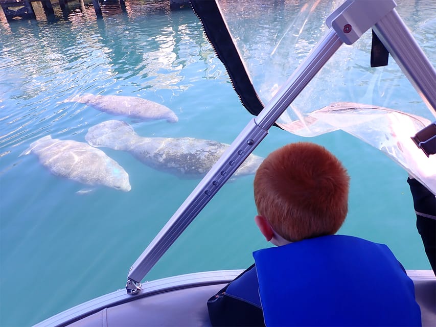 Book your River Cruise with Manatee Viewing experience today. Discover upcoming events, exciting activities, tours, places to eat, places to stay, and fun things to do in Crystal River, Florida with PartyFixx.co.