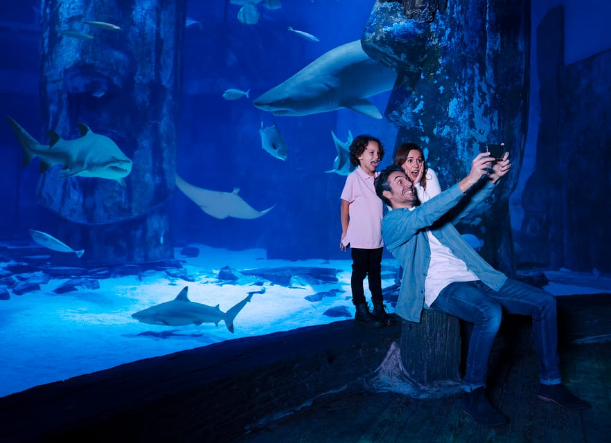 Book your SEA LIFE Arizona Aquarium General Admission experience today. Discover upcoming events, exciting activities, tours, places to eat, places to stay, and fun things to do in Tempe, Arizona with PartyFixx.co.