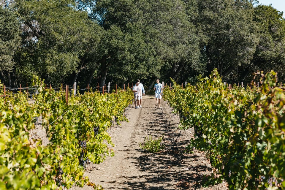 Book your San Francisco: Half-Day Wine Country Excursion with Tastings experience today. Discover upcoming events, exciting activities, tours, places to eat, places to stay, and fun things to do in San Francisco, California with PartyFixx.co.