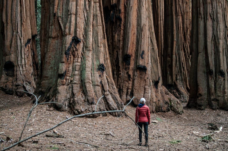 Book your San Francisco: Women's Only 3-Day Yosemite Lodging Tour experience today. Discover upcoming events, exciting activities, tours, places to eat, places to stay, and fun things to do in California, California with PartyFixx.co.