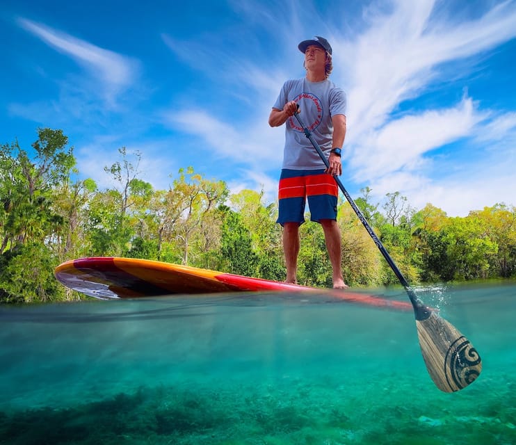 Book your Sanford: Guided SUP or Kayak Manatee-Watching Tour experience today. Discover upcoming events, exciting activities, tours, places to eat, places to stay, and fun things to do in Orlando, Florida with PartyFixx.co.