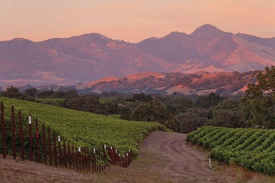 Book your Santa Ynez Valley: Sideways Movie Inspired Wine Tour experience today. Discover upcoming events, exciting activities, tours, places to eat, places to stay, and fun things to do in California, California with PartyFixx.co.