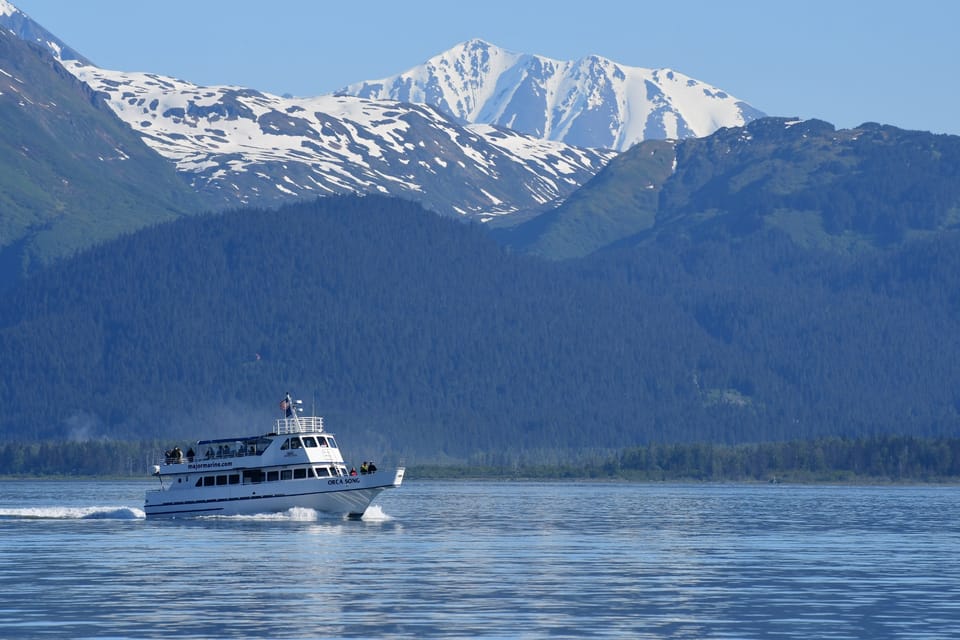 Book your Seward: Resurrection Bay Orca Quest Cruise experience today. Discover upcoming events, exciting activities, tours, places to eat, places to stay, and fun things to do in Seward, Alaska with PartyFixx.co.