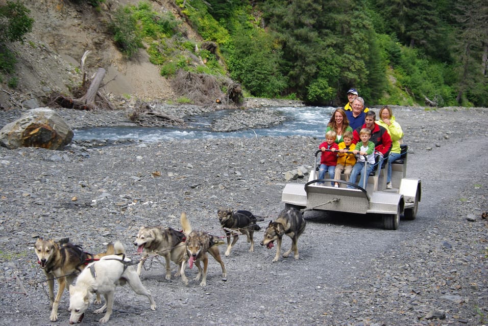 Book your Seward: Summer Dog Sled Ride and Seavey Estate Tour experience today. Discover upcoming events, exciting activities, tours, places to eat, places to stay, and fun things to do in Alaska, Alaska with PartyFixx.co.