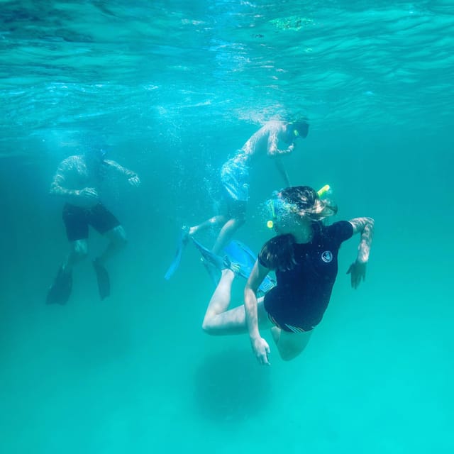 Book your Snorkeling, Dolphins, and Crab Island experience today. Discover upcoming events, exciting activities, tours, places to eat, places to stay, and fun things to do in Destin, Florida with PartyFixx.co.