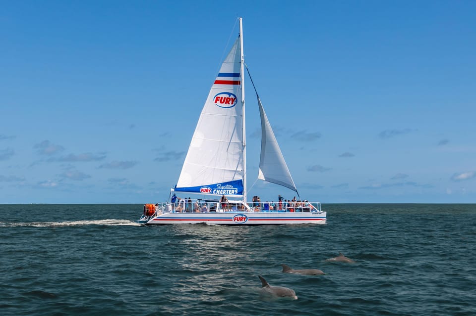 Book your St. Augustine: Dolphin Watching Harbor Tour with Drinks experience today. Discover upcoming events, exciting activities, tours, places to eat, places to stay, and fun things to do in St. Augustine, Florida, Florida with PartyFixx.co.