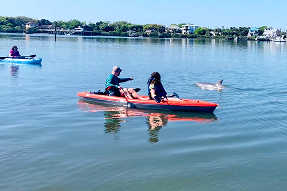 Book your St. Augustine: Dolphin and Manatee Paddle or Kayak Tour experience today. Discover upcoming events, exciting activities, tours, places to eat, places to stay, and fun things to do in St. Augustine, Florida, Florida with PartyFixx.co.