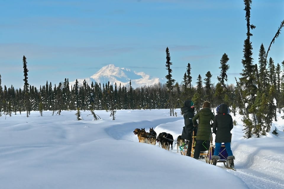 Book your Talkeetna: Winter Dog Sled Tour Morning or Night Mush! experience today. Discover upcoming events, exciting activities, tours, places to eat, places to stay, and fun things to do in Talkeetna, Alaska with PartyFixx.co.