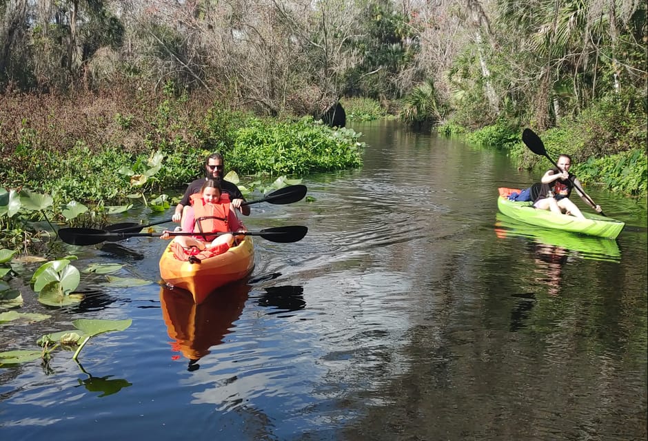 Book your Wekiva Wildlife kayaking Adventure Tour experience today. Discover upcoming events, exciting activities, tours, places to eat, places to stay, and fun things to do in Wekiva River, Florida, Florida with PartyFixx.co.