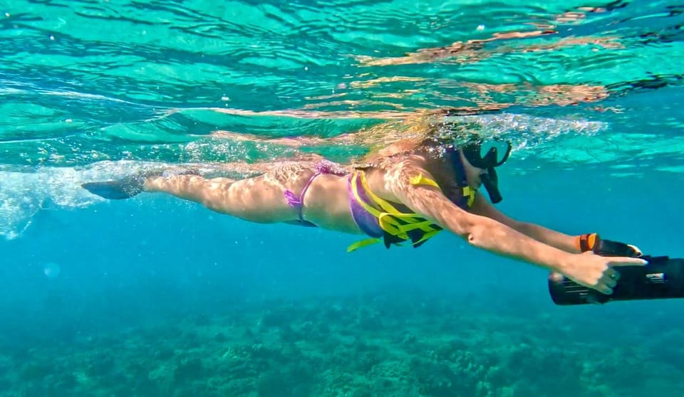 Book your West Palm Beach: Beginner Jet Snorkel Tour with Videos experience today. Discover upcoming events, exciting activities, tours, places to eat, places to stay, and fun things to do in Riviera Beach, Florida, Florida with PartyFixx.co.