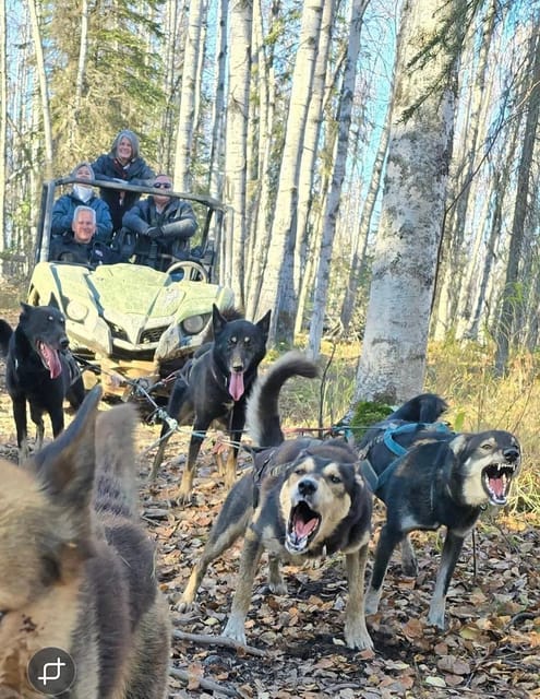 Book your Willow: Fall Dog Sled Adventure experience today. Discover upcoming events, exciting activities, tours, places to eat, places to stay, and fun things to do in Alaska, Alaska with PartyFixx.co.