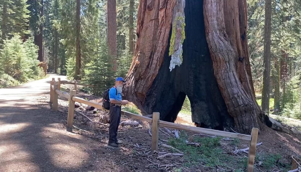 Book your Yosemite: Mariposa Grove Guided Hike with Giant Sequoias experience today. Discover upcoming events, exciting activities, tours, places to eat, places to stay, and fun things to do in California, California with PartyFixx.co.